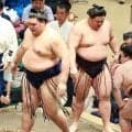 元世界王者2人が秋場所観戦　村田諒太氏「大の里が強かった」伊藤雅雪氏「相撲が好き」