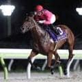 【大井・ゴールドジュニア結果】パープルフォッグが無傷3連勝で重賞初制覇