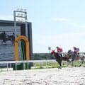 【名古屋・秋の鞍結果】ゴッドバロックが接戦制し重賞5勝目を挙げる