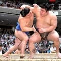 【元大関・琴風の目】鬼気迫る稽古「この子は絶対強くなる」予感が現実に　藤ノ川の土俵際、腰を落とした押し出しに最大級の賛辞を贈りたい　