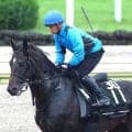【岩田康誠の熱血！！競馬道】アスクエジンバラの４着は悲観する敗戦ではない「追い出した時の反応が違いました」
