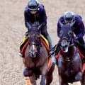 【オールカマー】武藤親子重賞連勝へ　エセルフリーダ「動きは十分」