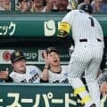 阪神・藤川監督　７連戦白星スタート「元気でどんちゃんどんちゃんやっていますからね。乗っていってもらいたい」