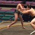 “57キロ”力士が一撃で「吹っ飛んだ」驚きの光景 「まぁそうなる」「最軽量頑張れ」励ましの声