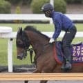【オールカマー・枠順確定】レガレイラは“ラッキーセブン”から連覇狙う　武豊騎手と３戦ぶりコンビのジューンテイクは大外枠に
