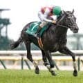 【阪神JS枠順確定】ジューンベロシティは2枠2番、ホウオウプロサンゲは5枠5番
