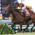 【オールカマー枠順確定】レガレイラは5枠7番、コスモキュランダは6枠9番