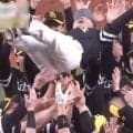 ソフトバンクがリーグ3連覇、破竹の9連勝で圧勝　楽天は2か月ぶりの3連勝…17日パ結果