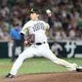 【ソフトバンク】昨年１勝→無傷開幕12連勝の前田悠伍、大ブレークの要因はストイックさ