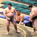 元ラグビーＵ-２０日本代表・天岳富士、序ノ口で初白星　未経験で入門も充実「稽古が楽しい」