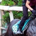 【ＰＯＧ談義】陣営が「楽しみ」「能力を秘めている」と話す注目２頭が激突　現場記者が「勝ち負け」と聞いた期待馬も初陣