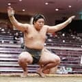 雷親方の長男垣添が19歳誕生日に３連勝「そういえば誕生日だったんですね」とおどける