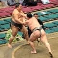 三段目・天照馬が突き出しで初白星　連敗発進も２日間の休みで気持ちリセット「負けたのは良い経験になった」