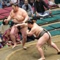 元十両の三田　栃武蔵を押し出しで下し２勝目　「圧はあったけど、しっかり当たって前に出られた」