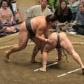 “史上最強の新弟子”旭富士と同期、天昇山が史上最速新十両へ無傷３連勝【大相撲】