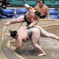新十両の丹治が５連勝「ギリギリでしたけど」明生に土俵際まで詰められるも逆転の突き落とし