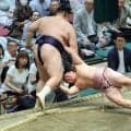 十両・炎鵬が３勝３敗の五分に戻す　物言いについては「なぜ物言いついているか分からないくらい必死だった」