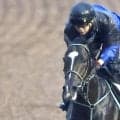 【神戸新聞杯・金曜気配】初距離、初関西遠征のゴーラッキーは坂路で調整　黒岩陽一調教師「面白いと思っています」
