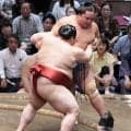 大関昇進目指す熱海富士が完勝で５勝目　NHK解説の琴風さん絶賛「大関の相撲になっている」