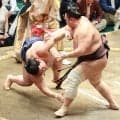 朝乃山１敗でトップ走る「星勘定は気にしていない」平戸海に５連勝