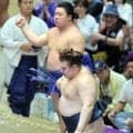 安青錦が３連敗　藤ノ川に敗れる　頭をつけながら不用意な投げにつけこまれる
