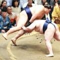 大の里が引いて５勝目「ああいう相撲が目立つ」九重審判長が疑問「圧力で勝てない」