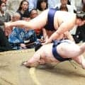 大の里、また引く相撲も土俵際で踏みとどまり５勝目「勝つと負けるでは違う」内容には不満