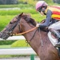 半姉はスターアニス ハートノートが必勝期す2戦目だ