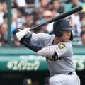 19日に準々決勝を実施！唯一シードの仙台育英のほか、東北、仙台一などが4強をかける戦いへ！秋季宮城県大会【26年秋高校野球】