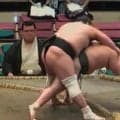 土俵際で“ヒヤリ”の一本背負い 投げは決まるも…勝った力士が投げられ土俵下へ転落