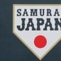 元巨人・辻東倫ら８選手　Ｂａｓｅｂａｌｌ５日本代表発表　５人制のストリート競技