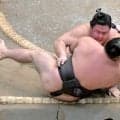 義ノ富士　故郷・熊本に贈る１勝　綱取り霧島撃破で初白星「ここから勝ち越す」