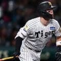 今オフ挑戦なら契約金9桁超えも!?　米移籍専門サイトが佐藤輝明をMLBのFAランク2位に厳選　なぜ「欠点もある」和製大砲を高評価？