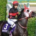 【１９日の注目・阪神４Ｒ】４・１億円馬のホウオウプロサンゲが挑む記録とは…ハードル界で高額馬の歴史を塗り替える　