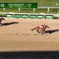 フォーエバーヤング、米G1快勝で秋再始動！ ジョッキークラブゴールドC制し総獲得賞金“50億”の大台突破