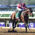 【米・ジョッキークラブGC結果】フォーエバーヤングが秋初戦を快勝！ 海外G1・4勝目でBCクラシック連覇へ弾み