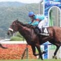 【１９日の注目・中山１０Ｒ】名牝アーモンドアイの息子アロンズロッド　募集価格２・４億円の高額馬が２勝クラス突破へ