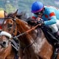 母アーモンドアイが苦しんだ中山芝2500mで… アロンズロッドが今度こそ勝ち切るか
