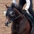 【注目馬動向】小倉で新馬Ｖのエルドボルグは東京スポーツ杯２歳Ｓで復帰　同じ父持つダービー馬クロワデュノールの道たどる