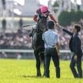 【神戸新聞杯枠順確定】ロブチェンは1枠1番、コンジェスタスは6枠7番