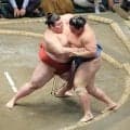 【７日目の見所】熱海富士にとっては特別な一番　 安青錦には絶対に負けないと気合満点