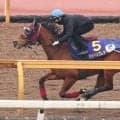【スプリンターズＳ】武英勢２頭が実質的な最終追い　昨年の２着馬ジューンブレアは坂路で５１秒７　陣営「ジョッキーは...」