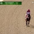 「強すぎ」フォーエバーヤングが“余裕勝ち”米G1で約3馬身差つけ楽勝のレース運びにファン驚愕「後ろを振り返りながら…」