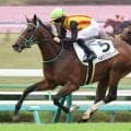 【中山３Ｒ・２歳未勝利】１番人気に応えてトルタパスカリーナが完勝　ルメール騎手「距離もバッチリ」
