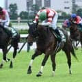 【阪神JS結果】4番人気オオキニが快勝で重賞初制覇