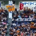 巨人戦、カメラに抜かれた美女に騒然　漂う“プロ感”→正体判明「ビジョンでも際立つ可愛さ」