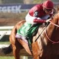 日本競馬史上初「５０億円ホース」となったフォーエバーヤング　ＪＲＡでの獲得賞金は意外にも…記録まとめ