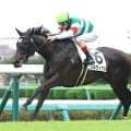 【中山５Ｒ・２歳新馬】良血プルヴィナルが単勝１・６倍に応えて快勝　ルメール騎手は絶賛「全部が良かった」
