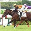 【阪神５Ｒ・２歳新馬】単勝１・２倍のインパルスドライブが勝利　北村友一騎手「少し大丈夫かなと思いましたけど…」