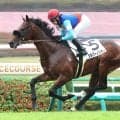 【中山４Ｒ・２歳新馬】小林美駒騎手がシルバーノリダーでキャリアハイ更新の３８勝目　「背中の良さ感じていた」